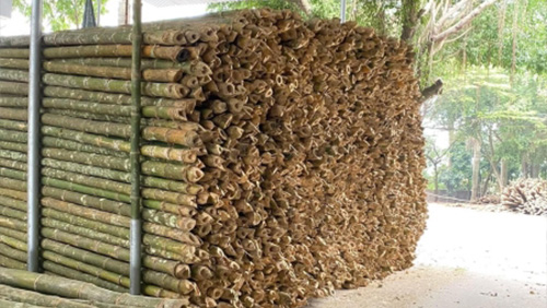 CỌC TRE LỘC PHÁT - CÔNG TY TNHH THƯƠNG MẠI VÀ DỊCH VỤ FORBIGSU VIỆT NAM